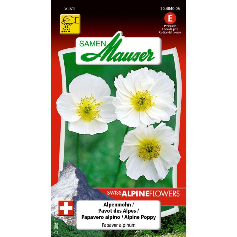 Mohn, Alpenmohn - Papaver alpinum - Samen