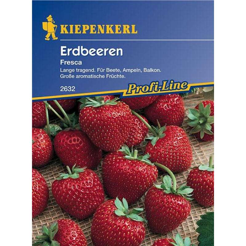Erdbeere, mehrfachtragend Fresca - Fragaria ananassa - Samen