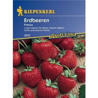 Erdbeere, mehrfachtragend Fresca - Fragaria ananassa - Samen