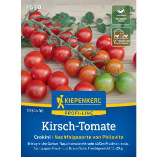 Tomate, Cherrytomate Philovita F1 - Lycopersicon esculentum - Tomatensamen