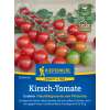 Tomate, Cherrytomate Philovita F1 - Lycopersicon esculentum - Tomatensamen