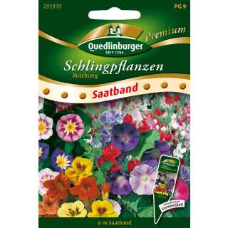 Blumenmischung, Schlingpflanzen - Diverse species - SAATBAND