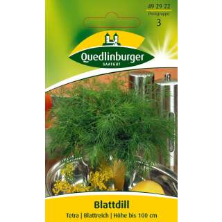 Dill, Blattdill Tetrat- Anethum graveolens - Samen