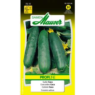 Gurke Cuca Profiline - Cucumis sativa - Samen