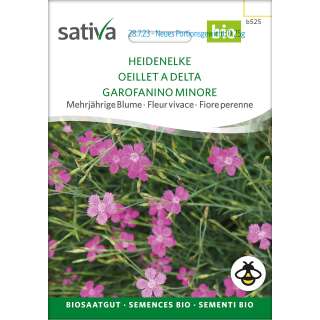 Heidenelke - Dianthus deltoides - BIOSAMEN