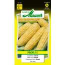 Zuckermais Sweet - Zea mays - Samen