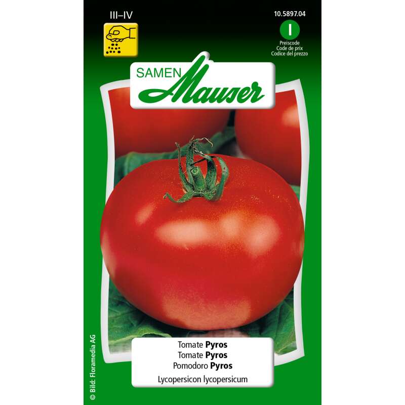 Tomate Pyros - Lycopersicon esculentum - Tomatensamen