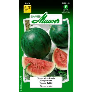 Wassermelone Rubin - Citrullus lanatus - Samen