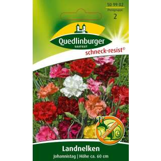 Nelke, Landnelke gemischt JOHANNISTAG - Dianthus caryophyllus - Samen