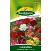 Nelke, Landnelke gemischt JOHANNISTAG - Dianthus caryophyllus - Samen