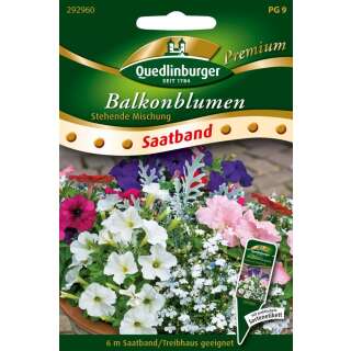 Blumenmischung, Balkonblumen stehend - Diverse species -...