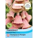 Fingerhut, Erdbeerfingerhut Summer King - Digitalis x mertonensis- Samen