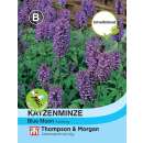 Katzenminze, Kaschmirminze Blue Moon - Nepeta nervosa - Samen