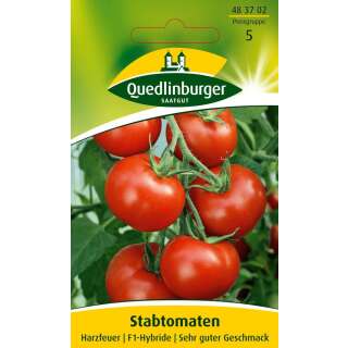 Tomate Harzfeuer F1 - Lycopersicon esculentum - Tomatensamen