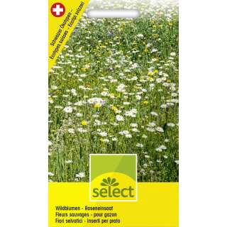 Wildblumenmischung Wildblumen Raseneinsaat - Diverse...