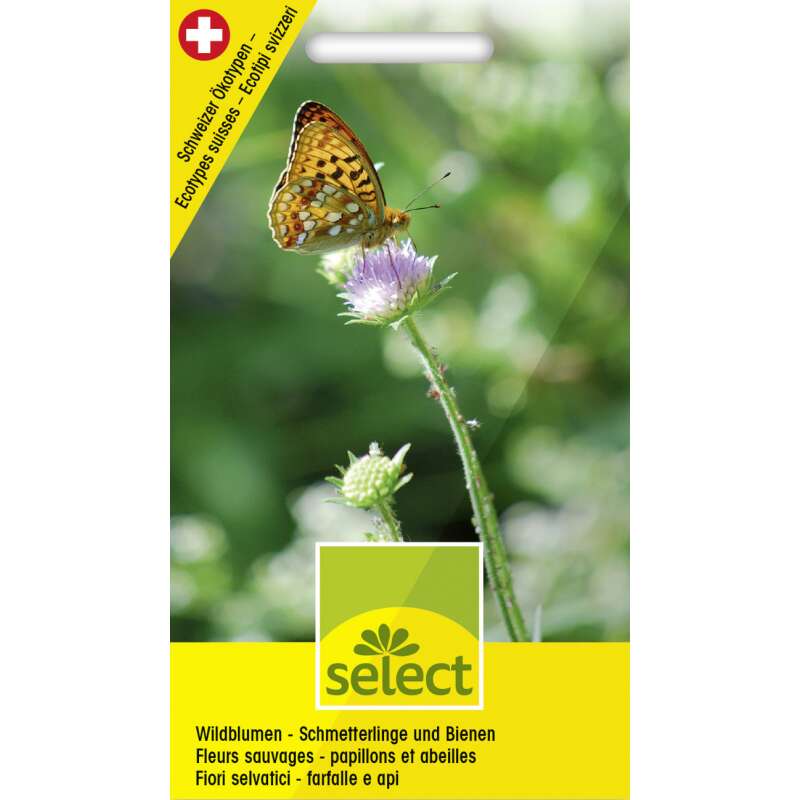 Wildblumenmischung Wildblumen für Schmetterlinge und Bienen - Diverse species - Samen