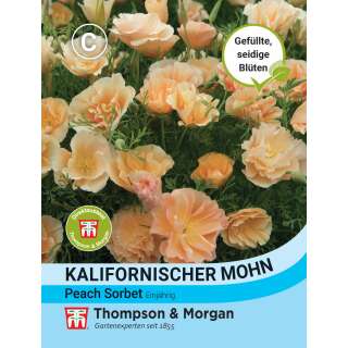 Kalifornischer Mohn Peach Sorbet - Eschscholzia...