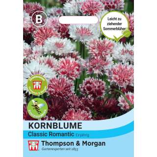 Kornblume Classic Romantic Mischung - Centaurea cyanus -...