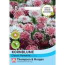 Kornblume Classic Romantic Mischung - Centaurea cyanus - Samen