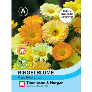 Ringelblume Fruit Twist - Calendula officinalis nana - Samen