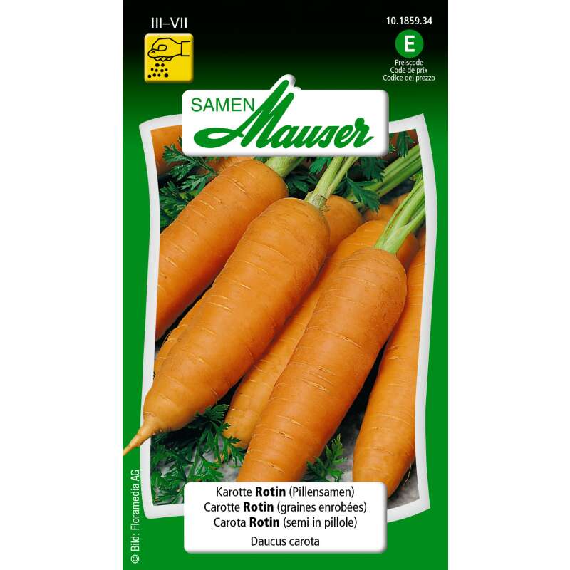Karotte Rotin (Pillensaat) - Daucus carota - Samen