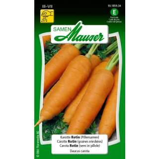 Karotte Rotin (Pillensaat) - Daucus carota - Samen