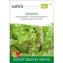 Kopfsalat, Winterkopfsalat Tremont - Lactuca sativa  - BIOSAMEN