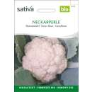 Blumenkohl Neckarperle - Brassica oleracea botrytis  - BIOSAMEN
