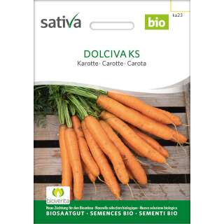 Karotte Dolciva KS - Daucus carota  - BIOSAMEN