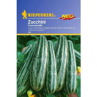 Zucchetti, Zucchini Coucourzelle - Cucurbita pepo - Zucchettisamen