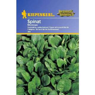 Spinat Monnopa - Spinacia oleracea - Samen