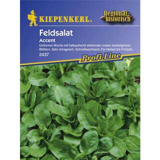 Nüsslisalat, Feldsalat Accent - Valerianella locusta - Samen