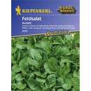 Nüsslisalat, Feldsalat Accent - Valerianella locusta...