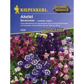 Akelei Biedermeier - Aquilegia vulgaris - Samen