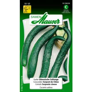 Gurke Chinesische Schlangen - Cucumis sativa - Samen