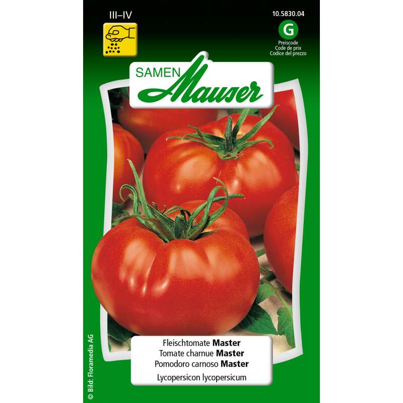 Tomate, Fleischtomate Master- Lycopersicon esculentum - Tomatensamen