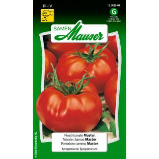 Tomate, Fleischtomate Master- Lycopersicon esculentum -...