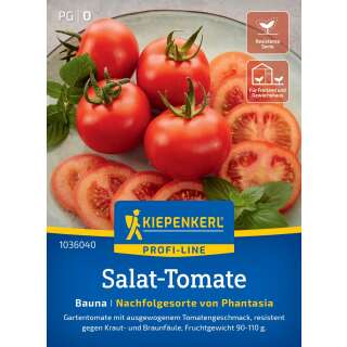 Tomate Phantasia F1- Lycopersicon esculentum - Tomatensamen