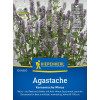 Agastache, Koreanische Minze Seoul - Agastache rugosa - Samen