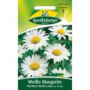 Margerite Mayfield Riesen - Leucanthemum x superbum - Samen