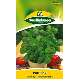 Portulak, Burzelkraut - Portulaca oleracea  - Samen