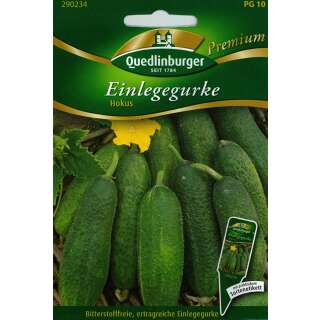 Gurke, Einlegegurke Hokus - Cucumis sativus - Samen