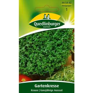 Kresse, Gartenkresse Krause - Lepidium sativus - Samen