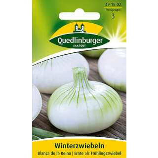 Zwiebel, Winterzwiebel Blanca De La Reina - Allium cepa - Samen