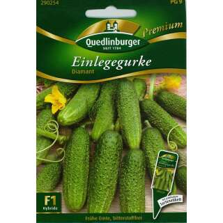 Gurke, Einlegegurke Diamant F1 - Cucumis sativus - Samen