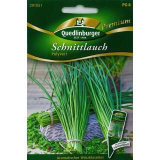 Schnittlauch, grobröhrig Polyvert - Allium schoenoprasum - Samen