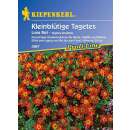 Studentenblume, kleinblütige Luna Rot - Tagetes...