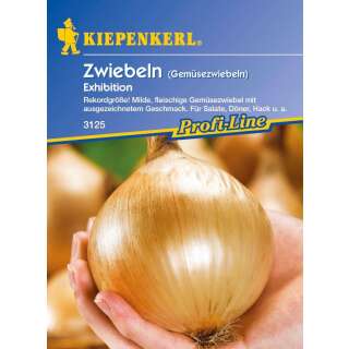 Zwiebel, Gemüsezwiebeln - Exhibition - Allium cepa -...