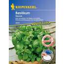 Basilikum Gecom - Ocimum basilicum - Saatscheiben