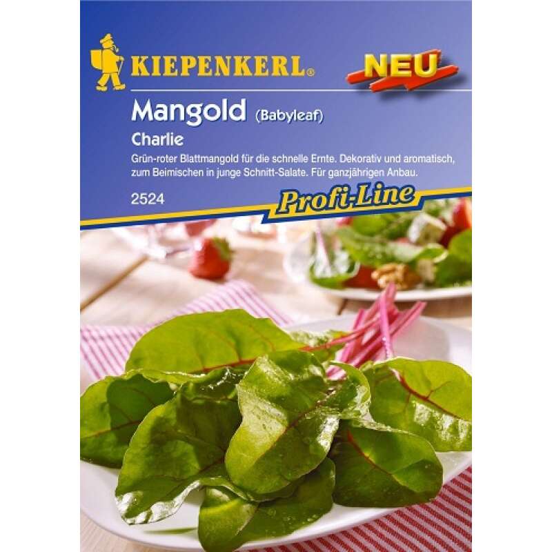Mangold, Blattmangold Charlie - Beta vulgaris - Samen